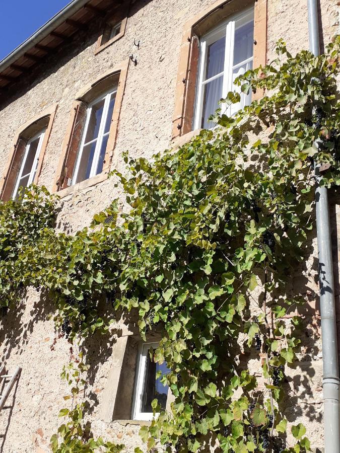La Grange Aux Oiseaux Appartement Arnaville Buitenkant foto