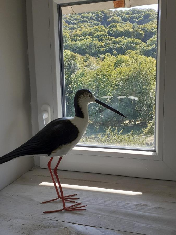La Grange Aux Oiseaux Appartement Arnaville Buitenkant foto